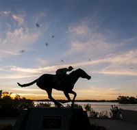 Black Caviar Statue - Accommodation Mount Tamborine
