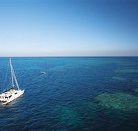 Bait Reef and Garys Lagoon Dive Site - Accommodation Mount Tamborine