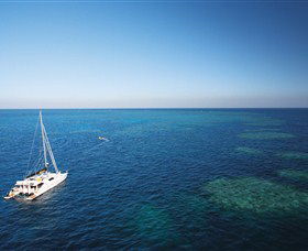 Bait Reef And Garys Lagoon Dive Site - Accommodation Mount Tamborine 0