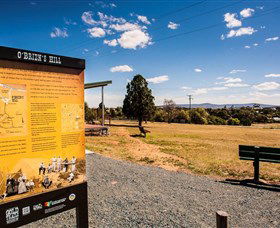O'Brien's Hill - Accommodation Mount Tamborine 0