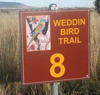 Weddin Bird Trails - Accommodation Mount Tamborine