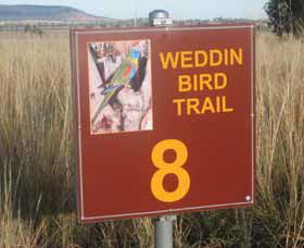 Weddin Bird Trails - Accommodation Mount Tamborine 0