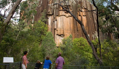 Sawn Rocks Walking Track - Accommodation Mount Tamborine 0