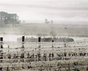 Grange Cleveland Winery - Accommodation Mount Tamborine 7