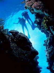 Caves And Canyons Dive Site - Accommodation Mount Tamborine 0