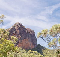Green Camp - Accommodation Mount Tamborine