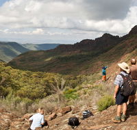 Yulludunida walking track - Accommodation Mount Tamborine