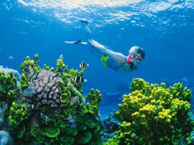 Great Barrier Reef - Whitsundays - Accommodation Mount Tamborine 3