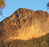 Kaputar scenic drive - Accommodation Mount Tamborine
