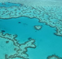 Heart Reef - Accommodation Mount Tamborine
