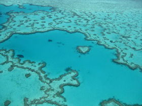 Heart Reef - Accommodation Mount Tamborine 0