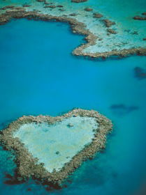 Heart Reef - Accommodation Mount Tamborine 3