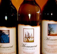 Monument Vineyard - Accommodation Mount Tamborine