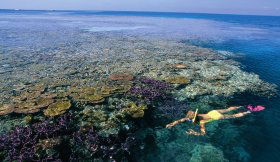 Hardy Reef - Accommodation Mount Tamborine 1