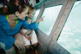Hardy Reef - Accommodation Mount Tamborine 2