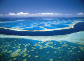 Hardy Reef - Accommodation Mount Tamborine 0