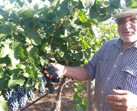 Rosnay Organic Farm And Vineyard - Accommodation Mount Tamborine 6