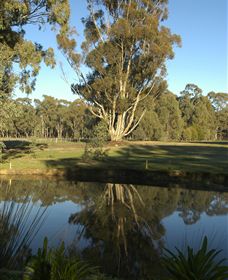 Benalla Golf Club - Accommodation Mount Tamborine 5