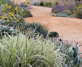 Perennialle Plants Nursery And Garden - Accommodation Mount Tamborine 1