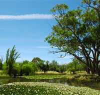 Wirraminna Environmental Education Centre - Accommodation Mount Tamborine