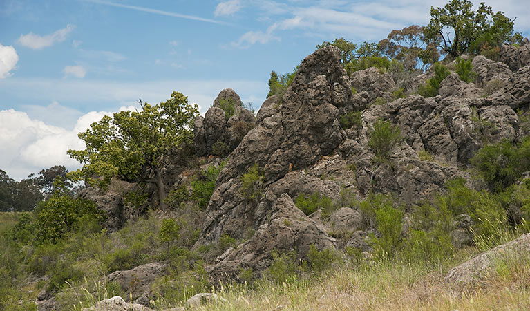 Lidster NSW Accommodation Mount Tamborine