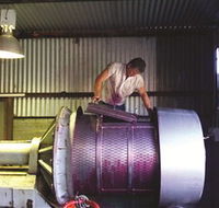 Orange Mountain Wines - Accommodation Mount Tamborine