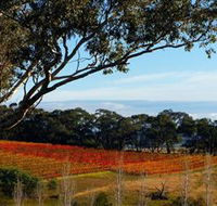 Bloodwood Estate - Accommodation Mount Tamborine