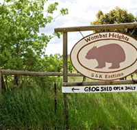 Wombat Heights Orchard and Grog Shed - Accommodation Mount Tamborine