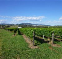 Hedberg Hill Wines - Accommodation Mount Tamborine