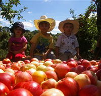 Bonny Glen Fruits - Accommodation Mount Tamborine