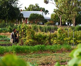 Brae - Accommodation Mount Tamborine 2