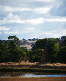 Brae - Accommodation Mount Tamborine 4