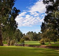 Commercial Golf Course - Accommodation Mount Tamborine