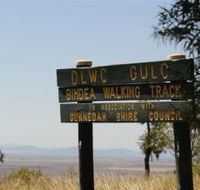 Bindea Walking Track - Accommodation Mount Tamborine