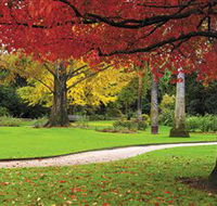 Albury Botanic Gardens - Accommodation Mount Tamborine