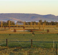 Holbrook Landcare Self-Drive Eco Tour - Accommodation Mount Tamborine