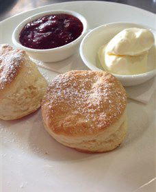 High Valley Cheese Co - Accommodation Mount Tamborine 4