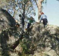 Mount Samaria State Park - Accommodation Mount Tamborine
