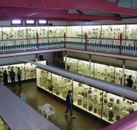 National Museum of Australian Pottery - Accommodation Mount Tamborine