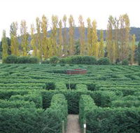 Brookfield Maze - Accommodation Mount Tamborine