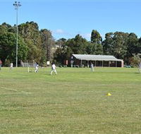Coddington Park and Roberts Park - Accommodation Mount Tamborine