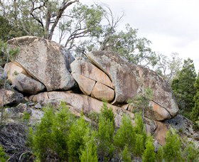 Frog Rock - Accommodation Mount Tamborine 1