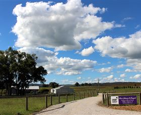 Short Sheep Micro-Winery - Accommodation Mount Tamborine 8