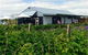 Ravens Creek Farm - thumb 0