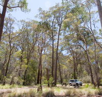 Coolah Tops National Park - Accommodation Mount Tamborine