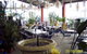 Warwicks Gardens Galore - thumb 0