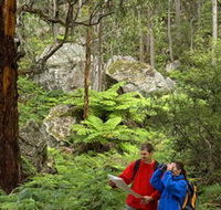 Centennial Glen - Accommodation Mount Tamborine