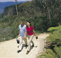 Blue Mountains Walking Tracks - Accommodation Mount Tamborine