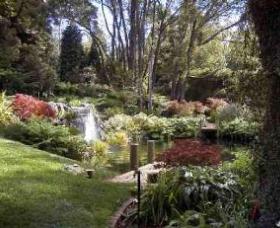 Windyridge Garden Mount Wilson - Accommodation Mount Tamborine 0