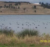 Lake Liddell Recreation Area - Accommodation Mount Tamborine